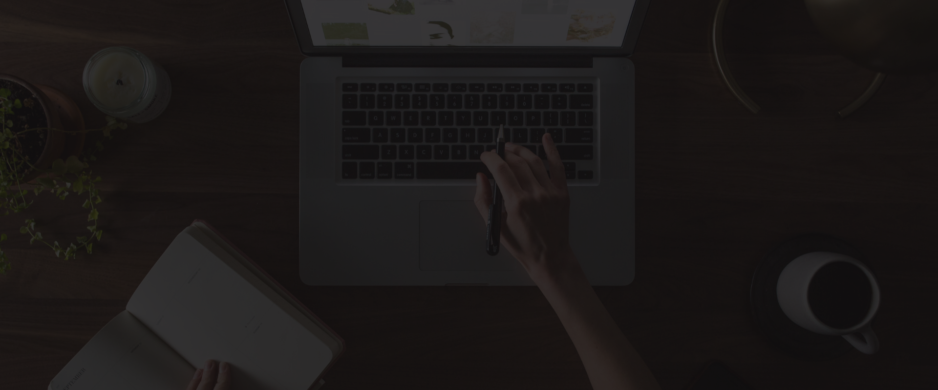 Stentorian project portfolio